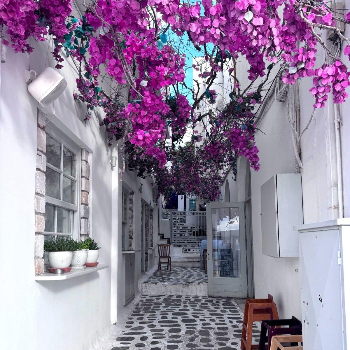 Cobblestone walkway in Naxos with pink flowers above.