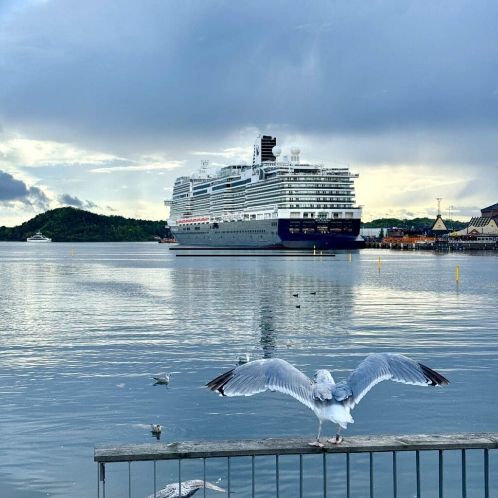 Cruise ship in bay with seagulls in forefront.