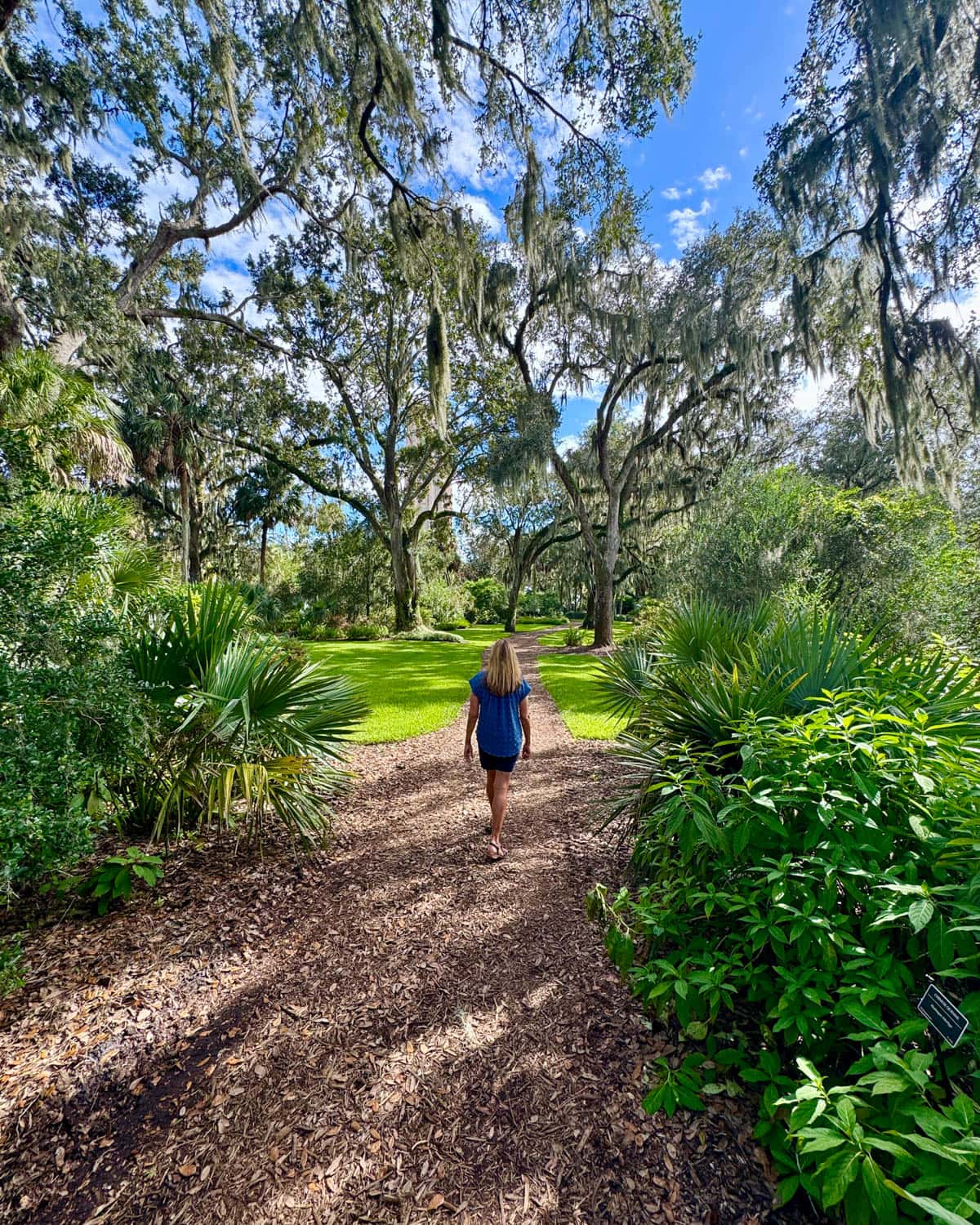 Woman walking along a muched path in a garden with blue sky.