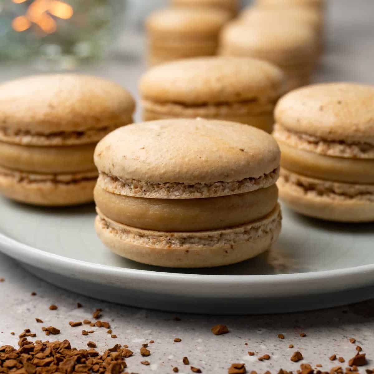 Coffee flavored macarons on a light grey plate on a grey counter with crushed coffee beans.
