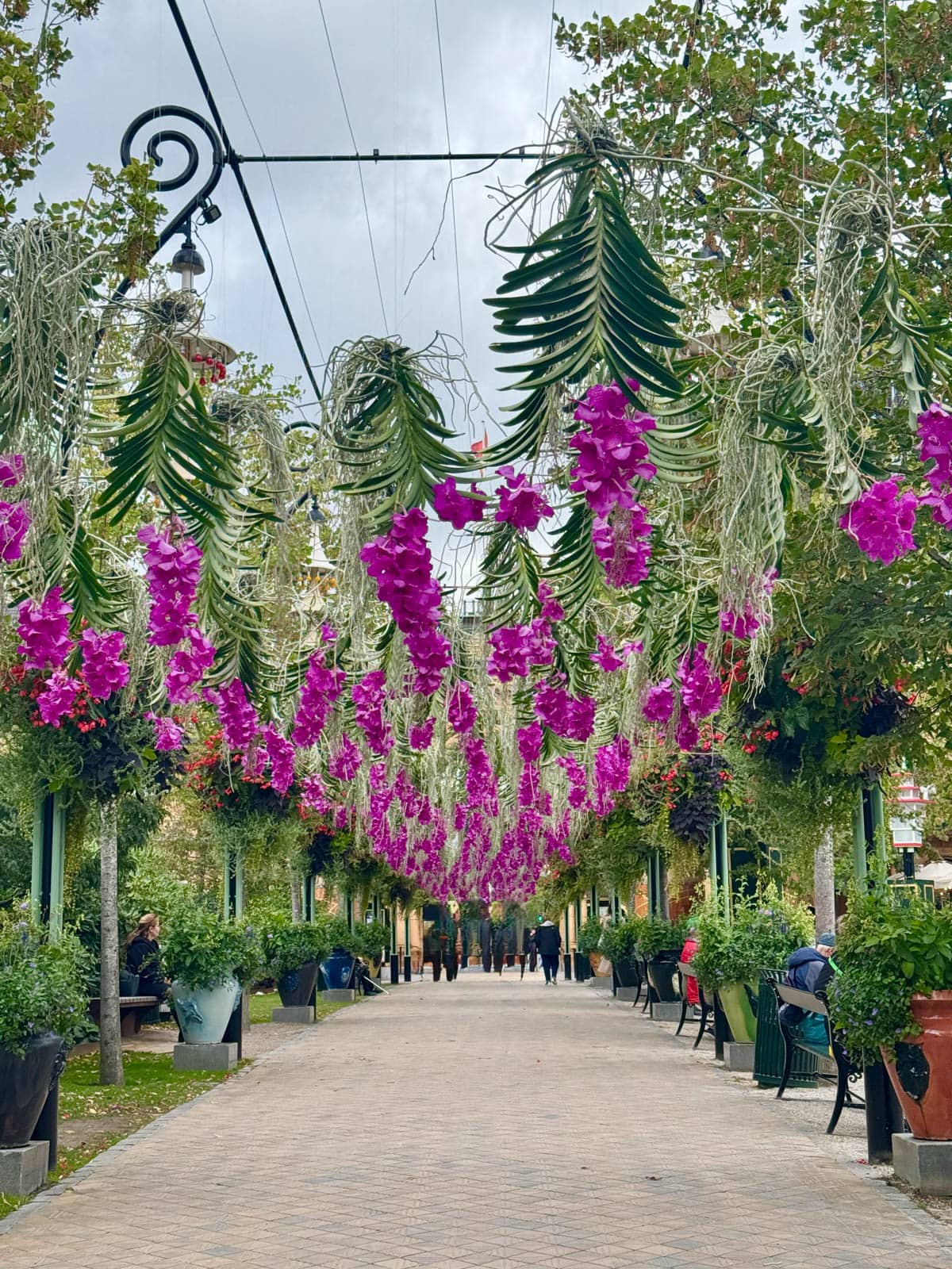 Purple flowers hanging down above the walkway of a theme park with chairs and potted plants to the side.