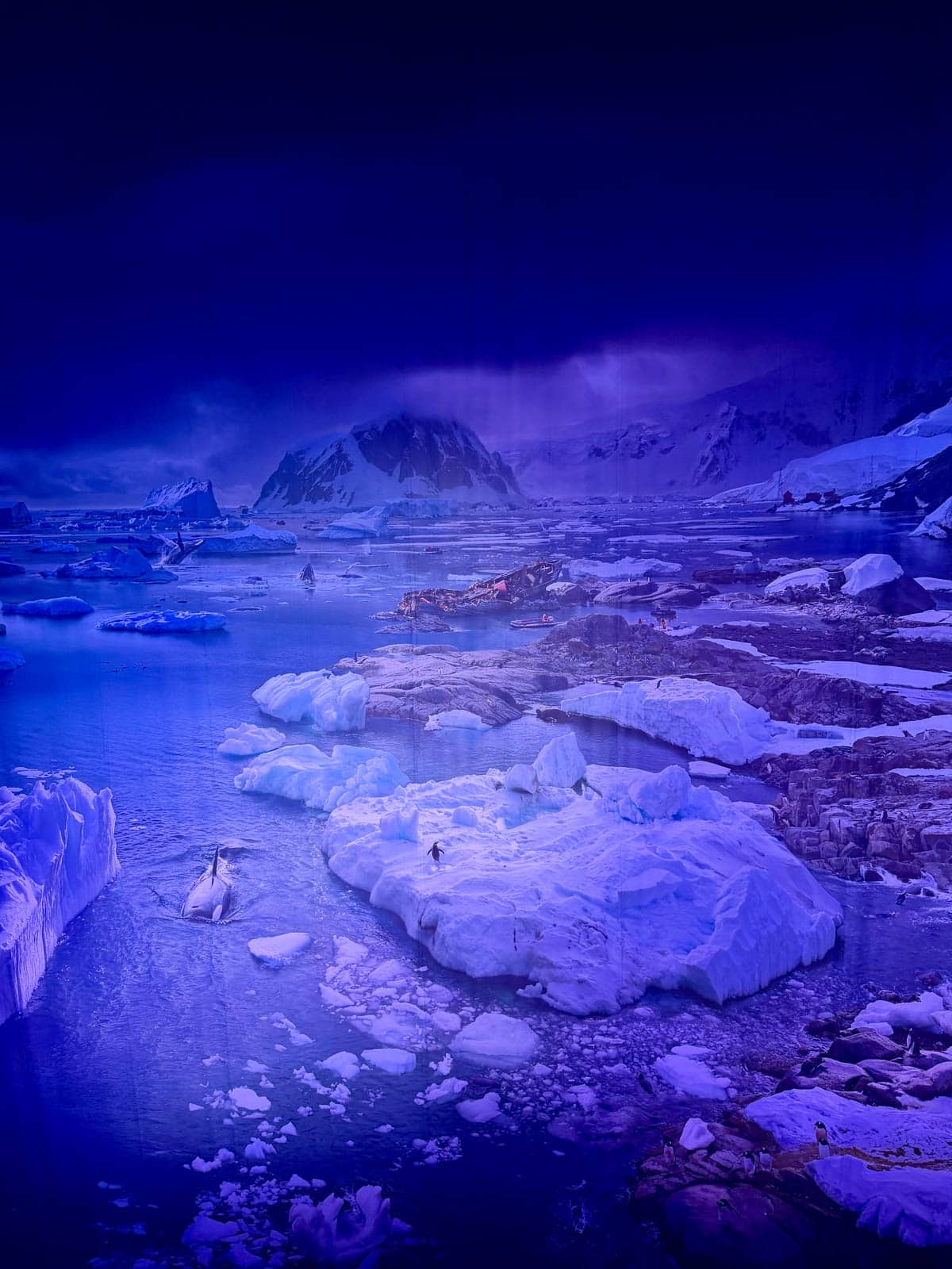 Photo of Antarctica's iceburgs with snow covered mountains in background.