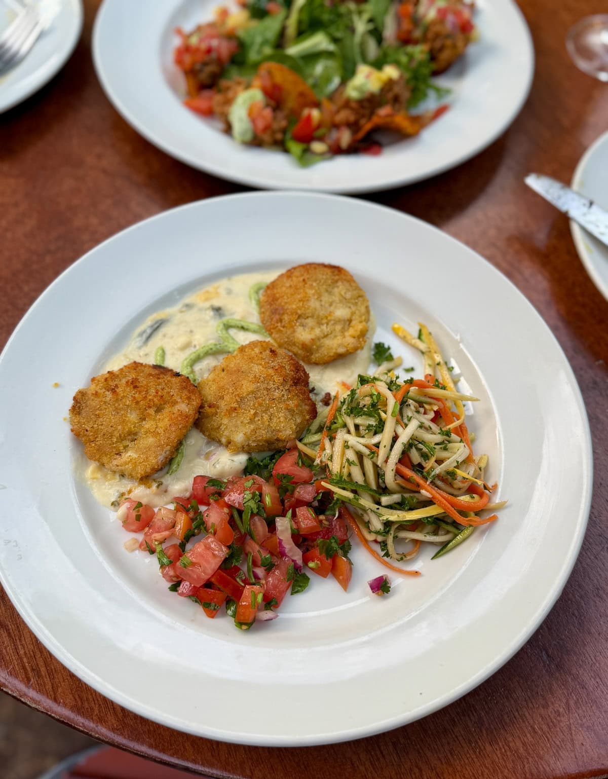 Fish cakes over sauce with salsa and cole slaw.