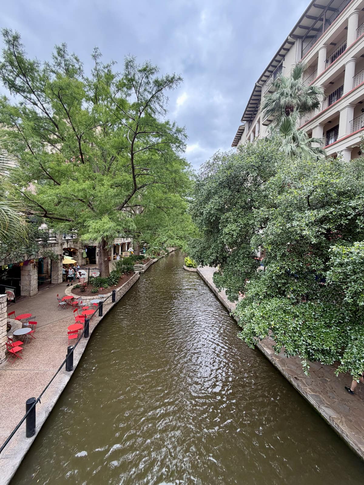 River running through city with trees on either side.